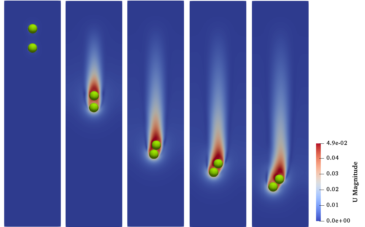 Image Immersed Boundary